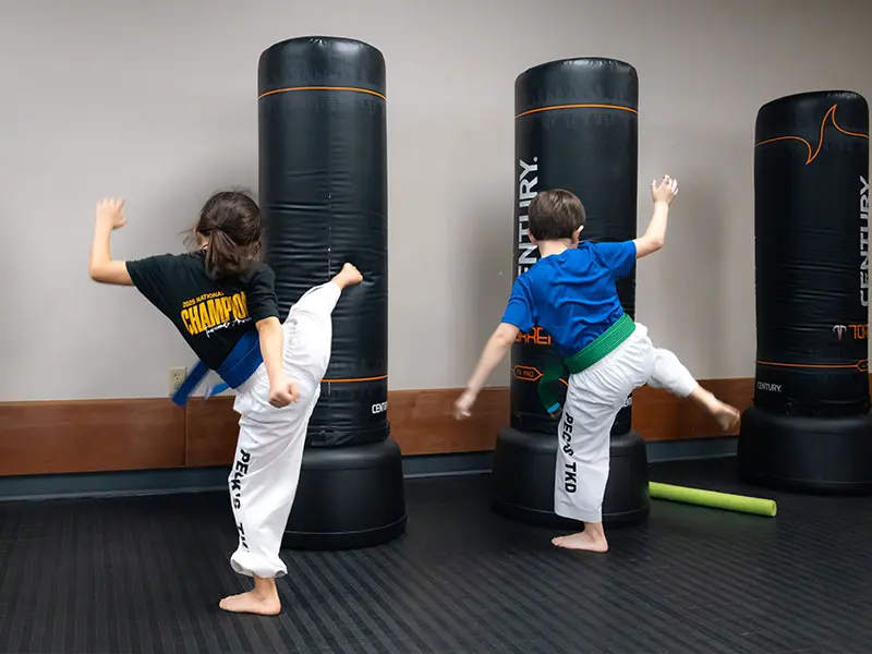 Kids Martial Arts Classes | Peck's Taekwondo America Raleigh
