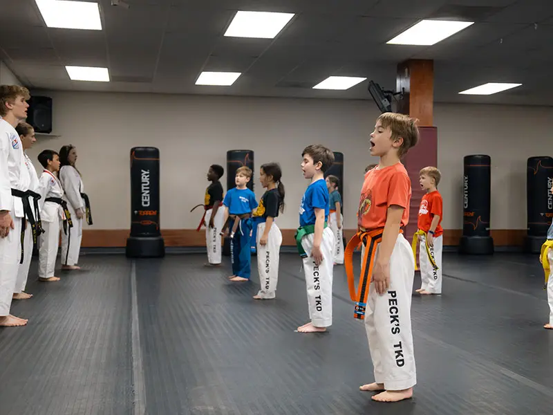 Kids Martial Arts Classes | Peck's Taekwondo America Raleigh