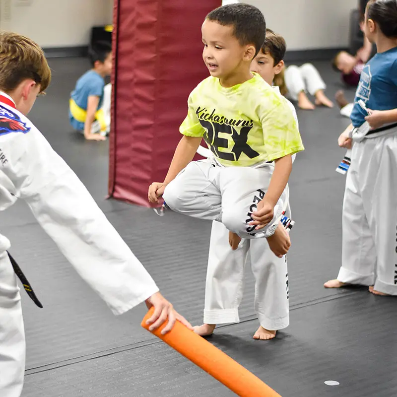 Preschool Martial Arts Classes | Peck's TKD America Morrisville